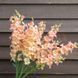Антіррінум Chantilly&trade; Light Salmon (F1) 33350 фото 1